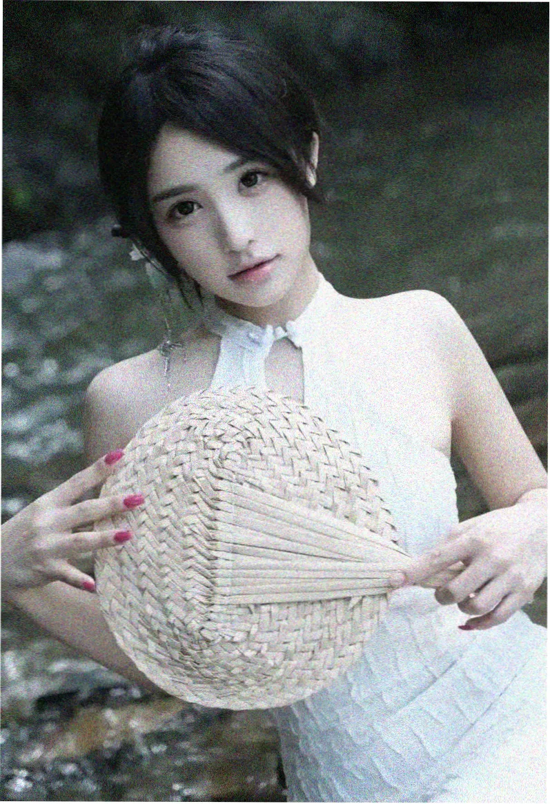 古言小说将军家的小娘子封面